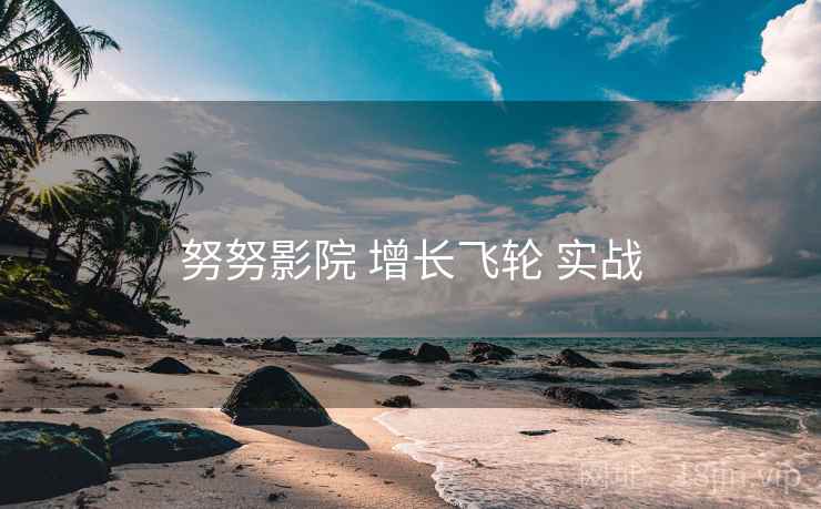 努努影院 增长飞轮 实战