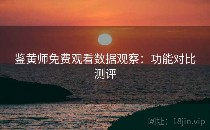 鉴黄师免费观看数据观察：功能对比测评