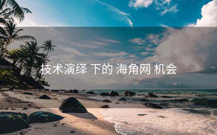 技术演绎 下的 海角网 机会
