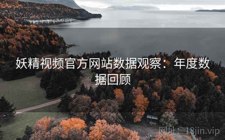 妖精视频官方网站数据观察：年度数据回顾