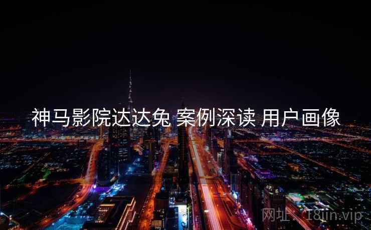 神马影院达达兔 案例深读 用户画像
