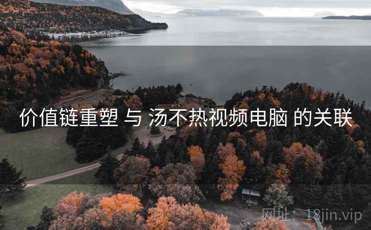 价值链重塑 与 汤不热视频电脑 的关联