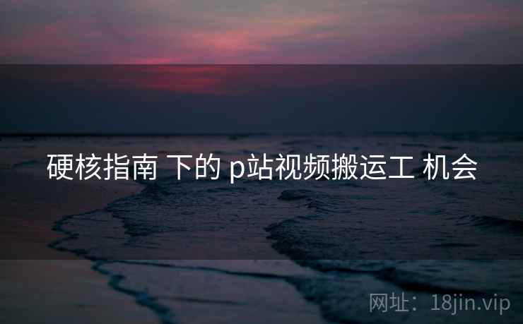 硬核指南 下的 p站视频搬运工 机会