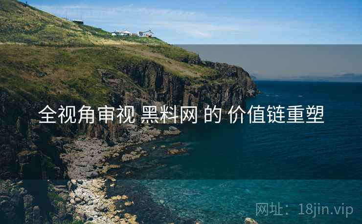 全视角审视 黑料网 的 价值链重塑
