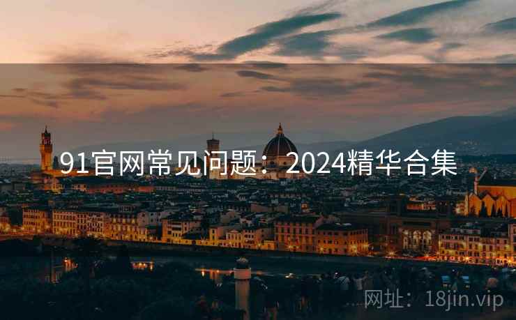 91官网常见问题：2024精华合集