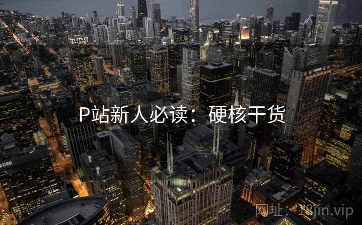 P站新人必读：硬核干货